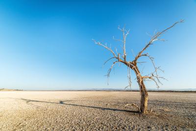 Salton Sea, CA
