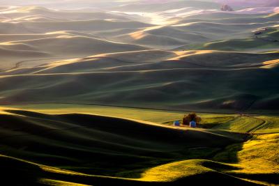 Palouse, WA