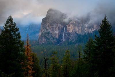 Yosemite National Park, CA